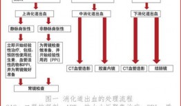 肉食加工爆料流程视频教程,揭秘肉类加工全过程