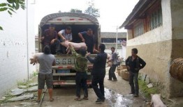 蓬溪县群利镇爆料案件最新,真相大白，正义得以伸张